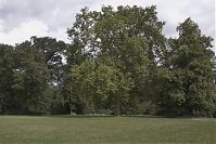 Brandenburg-Potsdam-Neuer-Garten-20050807-23.jpg