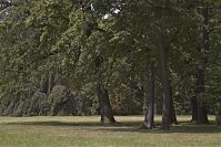 Brandenburg-Potsdam-Neuer-Garten-20050807-28.jpg