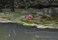 Brandenburg-Potsdam-Neuer-Garten-20050807-35.jpg