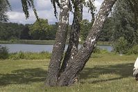 Brandenburg-Potsdam-Neuer-Garten-20050807-44.jpg