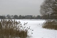 Brandenburg-Potsdam-Tiefer-See-20120214-195.jpg