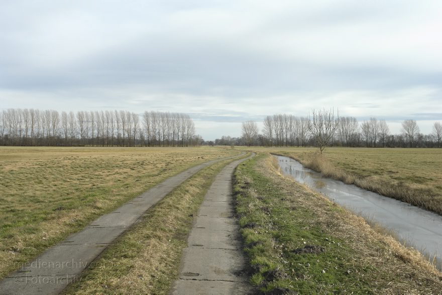 Brandenburg. Rhinluch bei Linumhorst
8. 2. 2014. Brandenburg. Rhinluch bei Linumhorst
Schlüsselwörter: Brandenburg;Feuchtwiesen;Graben;Rhinluch;2014;Wiesen