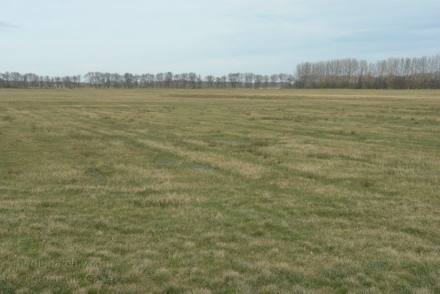 Brandenburg. Rhinluch bei Linumhorst
8. 2. 2014. Brandenburg. Rhinluch bei Linumhorst
Schlüsselwörter: Brandenburg;Rhinluch;2014;Wiesen