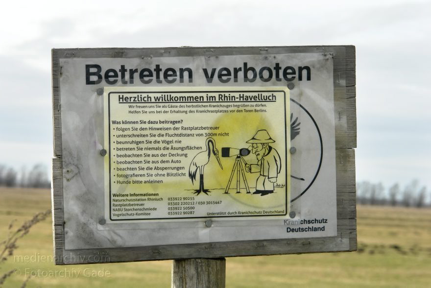 Brandenburg. Rhinluch bei Linumhorst
8. 2. 2014. Brandenburg. Rhinluch bei Linumhorst. Kranichrastplatz. Betreten verboten. Hinweistafel
Schlüsselwörter: Betreten verboten;Brandenburg;Hinweistafel;Kranichrastplatz;Rhinluch;2014;Wiesen