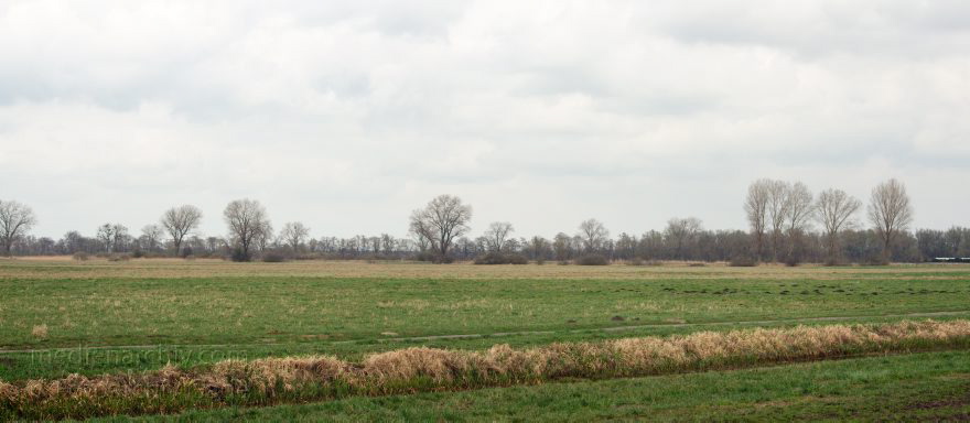 Brandenburg. Rhinluch
23. 3. 2014. Brandenburg. Rhinluch
Schlüsselwörter: Brandenburg;Landschaft;Panorama;Rastplatz;Rhinluch;2014;Wiesen