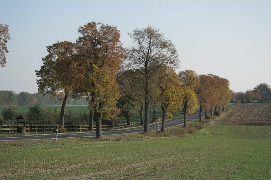 Brandenburg. Rhinluch. Straße - Allee bei Tarmow
31. 10. 2009. Brandenburg. Rhinluch. Straße. Allee bei Tarmow
Schlüsselwörter: Allee;Baum;Brandenburg;Deutschland;Germany;Rhinluch;Straße;2009;Tarmow