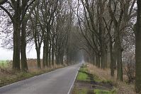 Dateiname=Brandenburg-Linumhorst-20131203-020.jpg
Dateigröße=302KB
Abmessungen: 880x584
hinzugefügt am: 02. Januar 2016 Brandenburg-Linumhorst-20131203-020.jpg