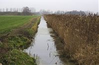 Dateiname=Brandenburg-Linumhorst-20131203-021.jpg
Dateigröße=242KB
Abmessungen: 880x584
hinzugefügt am: 02. Januar 2016 Brandenburg-Linumhorst-20131203-021.jpg