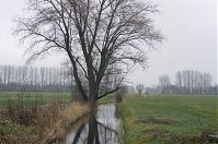 Dateiname=Brandenburg-Linumhorst-20131203-022.jpg
Dateigröße=263KB
Abmessungen: 880x584
hinzugefügt am: 02. Januar 2016 Brandenburg-Linumhorst-20131203-022.jpg