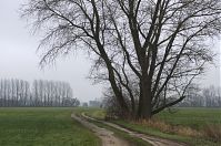 Dateiname=Brandenburg-Linumhorst-20131203-023.jpg
Dateigröße=311KB
Abmessungen: 880x584
hinzugefügt am: 02. Januar 2016 Brandenburg-Linumhorst-20131203-023.jpg