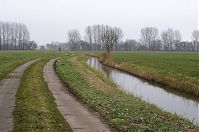 Dateiname=Brandenburg-Linumhorst-20131203-024.jpg
Dateigröße=206KB
Abmessungen: 880x584
hinzugefügt am: 02. Januar 2016 Brandenburg-Linumhorst-20131203-024.jpg