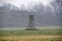 Brandenburg-Linumhorst-20131203-030.jpg