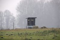 Brandenburg-Linumhorst-20131203-033.jpg
