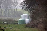 Brandenburg-Linumhorst-20131203-035.jpg