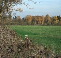Dateiname=Brandenburg-Rhinluch-20091031-057p.jpg
Dateigröße=455KB
Abmessungen: 880x843
hinzugefügt am: 02. Januar 2016 Brandenburg-Rhinluch-20091031-057p.jpg