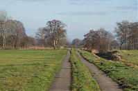 Dateiname=Brandenburg-Rhinluch-20140111-071.jpg
Dateigröße=206KB
Abmessungen: 880x584
hinzugefügt am: 02. Januar 2016 Brandenburg-Rhinluch-20140111-071.jpg