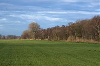 Dateiname=Brandenburg-Rhinluch-20140111-073.jpg
Dateigröße=180KB
Abmessungen: 880x584
hinzugefügt am: 02. Januar 2016 Brandenburg-Rhinluch-20140111-073.jpg