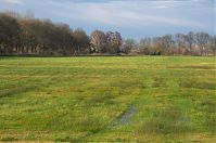 Dateiname=Brandenburg-Rhinluch-20140111-109.jpg
Dateigröße=220KB
Abmessungen: 880x584
hinzugefügt am: 02. Januar 2016 Brandenburg-Rhinluch-20140111-109.jpg