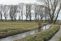 Brandenburg-Rhinluch-20140208-099.jpg