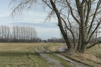 Brandenburg-Rhinluch-20140208-100.jpg