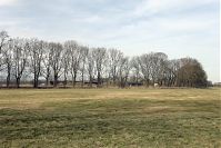 Brandenburg-Rhinluch-20140208-101.jpg