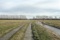 Brandenburg-Rhinluch-20140208-102.jpg