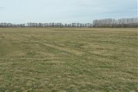 Brandenburg-Rhinluch-20140208-104.jpg