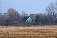 Brandenburg-Rhinluch-20140301-124.jpg