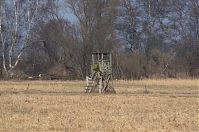 Brandenburg-Rhinluch-20140301-131.jpg