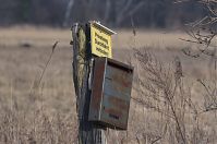 Brandenburg-Rhinluch-20140301-135.jpg