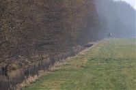 Brandenburg-Rhinluch-20140301-142.jpg