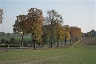 Brandenburg-Tarmow-20091031-255.jpg