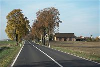 Brandenburg-Tarmow-20091031-256.jpg
