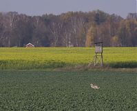 Brandenburg-Schwante-20131114-121.jpg