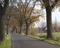 Brandenburg-Schwante-20131114-128.jpg