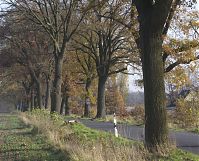 Brandenburg-Schwante-20131114-132.jpg