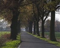 Brandenburg-Schwante-20131114-133.jpg