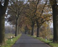 Brandenburg-Schwante-20131114-134.jpg