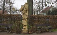 Brandenburg-Schwante-20131201-019.jpg