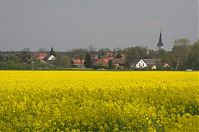 Brandenburg-Schwante-20140422-126.jpg