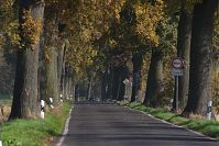 Brandenburg-Schwante-20141102-13.jpg