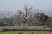 Brandenburg-Schwante-20141102-14.jpg
