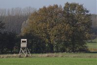Brandenburg-Schwante-20141102-16.jpg
