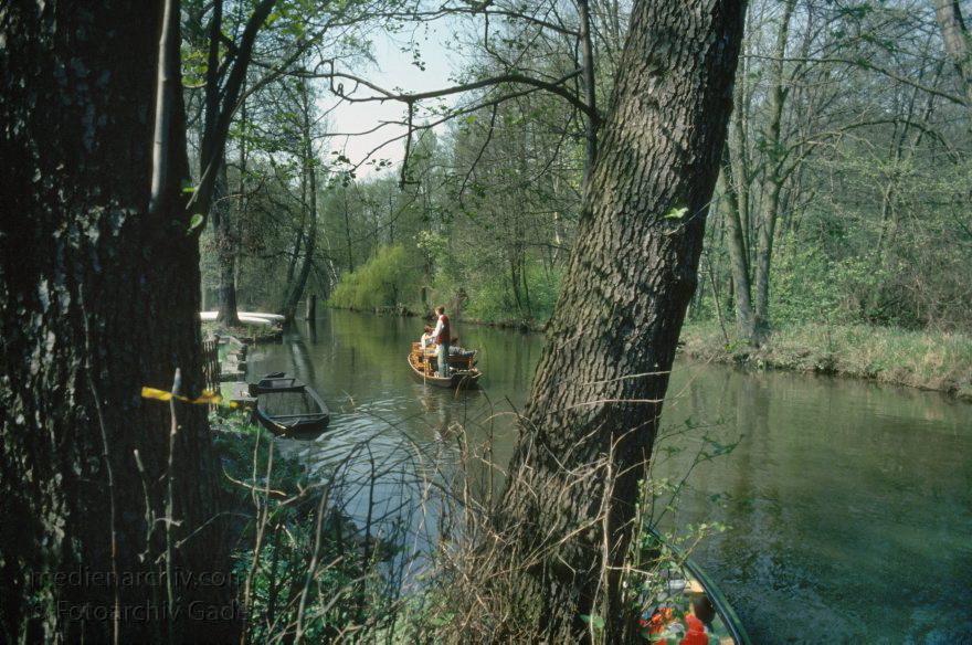 Brandenburg. Spreewald. Fließe bei Lübbenau.
April 1994. Brandenburg. Spreewald. Fließe bei Lübbenau.
Schlüsselwörter: Brandenburg;Deutschland;Fließe;Germany;Lübbenau;1994;Spreewald