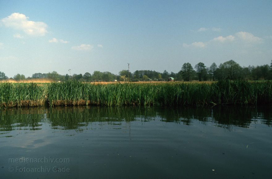 Brandenburg. Spreewald. Fließe bei Lübbenau.
April 1994. Brandenburg. Spreewald. Fließe bei Lübbenau.
Schlüsselwörter: Brandenburg;Deutschland;Fließe;Germany;Lübbenau;1994;Spreewald