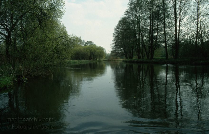 Brandenburg. Spreewald. Fließe bei Lübbenau.
April 1994. Brandenburg. Spreewald. Fließe bei Lübbenau.
Schlüsselwörter: Brandenburg;Deutschland;Fließe;Germany;Lübbenau;1994;Spreewald
