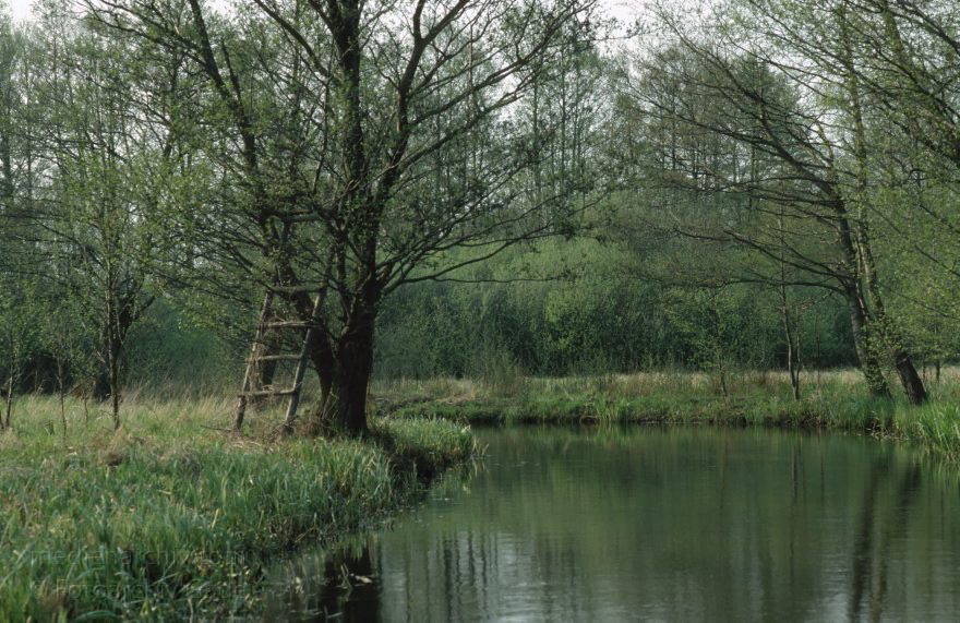 Brandenburg. Spreewald. Fließe bei Lübbenau.
April 1994. Brandenburg. Spreewald. Fließe bei Lübbenau.
Schlüsselwörter: Brandenburg;Deutschland;Fließe;Germany;Leiter;Lübbenau;1994;Spreewald