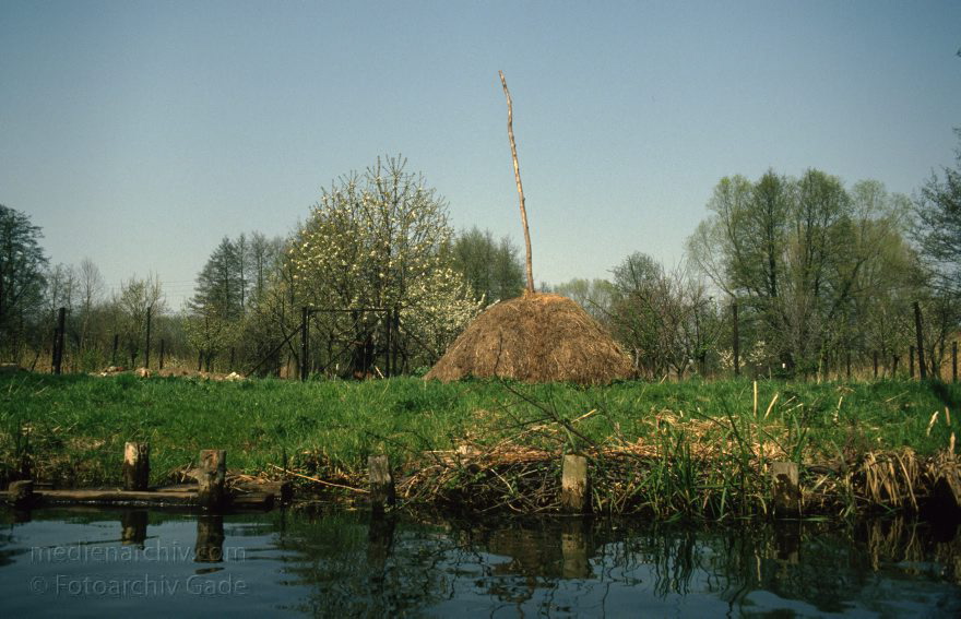 Brandenburg. Spreewald. Fließe bei Lübbenau. Heuhaufen
April 1994. Brandenburg. Spreewald. Fließe bei Lübbenau. Heuhaufen
Schlüsselwörter: Brandenburg;Deutschland;Fließe;Germany;Heuhaufen;Lübbenau;1994;Spreewald