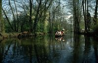 Brandenburg-Spreewald-199404-110.jpg