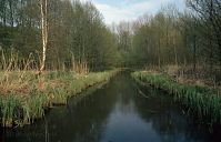 Brandenburg-Spreewald-199404-112.jpg